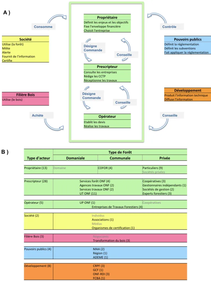 Figure 2.  Acteurs concernés par la plantation forestière. 2A) Rôles et interactions entre les  différents types d'acteurs