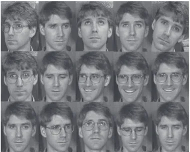 Figure 3.7: 15 diﬀerent faces of one person in GTF