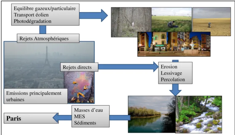 Figure 2 : Transferts de HAP dans l'environnement 