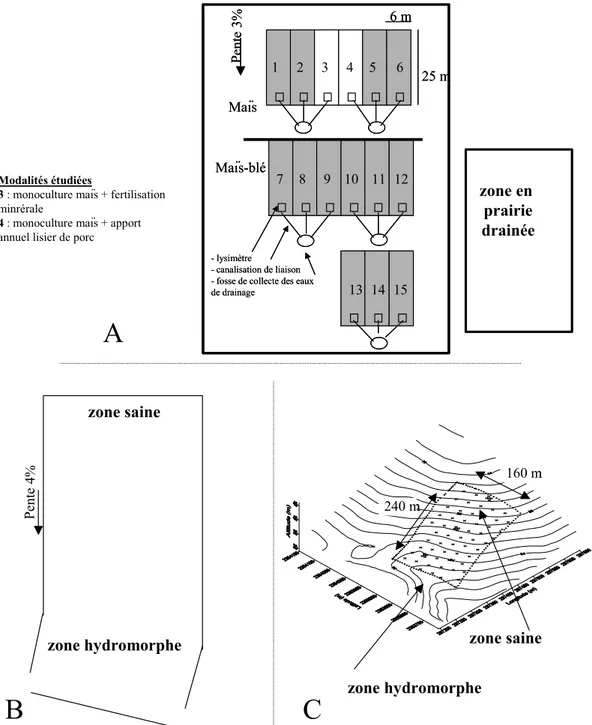 Figure A.3 : Sites d’étude au sein du domaine expérimental INRA de Rennes : (A) dispositif expérimental croisant apport  d ’effluent et rotation ;  (B) parcelle sous prairie ; (C) parcelle après blé