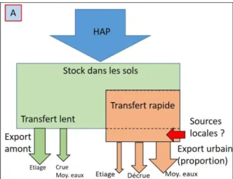 Figure 8. Modèle conceptuel de la dynamique des HAP dans le bassin versant de l’Orge  (Froger, 2018)
