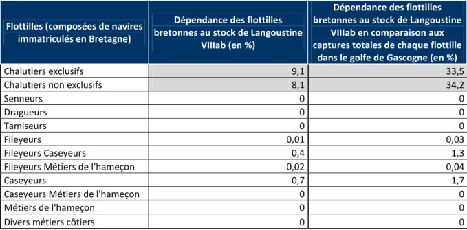 Tableau 7 : Dépendance économique des différentes flottilles bretonnes au stock de Langoustine VIIIab 