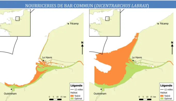 Figure  16 :  Habitat  correspondant  aux  préférendums  écologiques  des  juvéniles  de  Dicentrarchus labrax en estuaire de Seine (stade G0 à gauche, G1 à droite) 