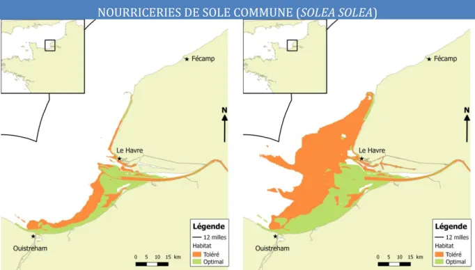 Figure 18 : Habitat correspondant aux préférendums écologiques des juvéniles de Solea solea  en estuaire de Seine (stade G0 à gauche, G1 à droite) 