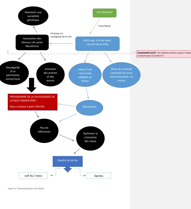 Figure 4: Contextualisation de l’étude Association des éleveurs de vache 