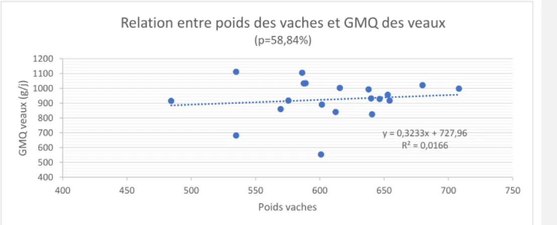 Figure 11: Relation entre le poids des vaches et le GMQ des veaux 