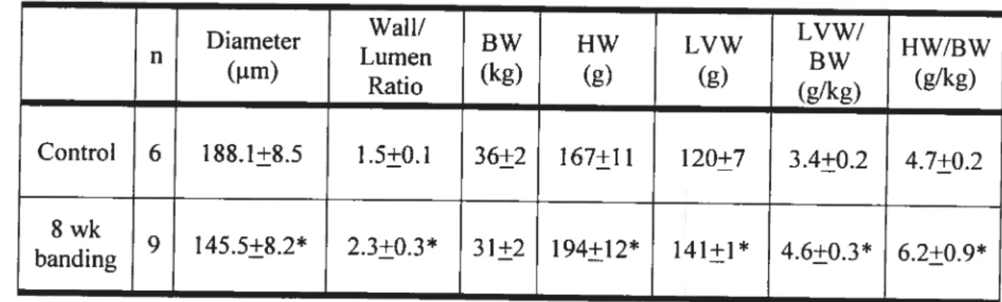 Table 1. Morphological data