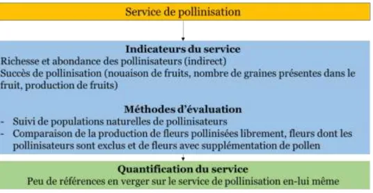 Figure  12  Indicateurs,  méthodes  d’évaluation  et  exemples  de  résultats  sur  le  service  de  pollinisation