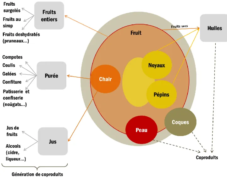 Figure 4 La valorisation complète de chaque partie des fruits en transformation et en coproduits