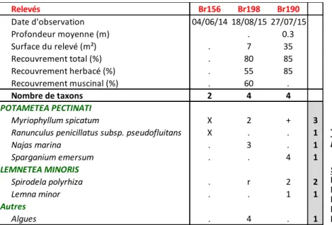 Tableau 6 : Sparganio emersi - Potametum  pectinati Hilbig ex Reichhoff &amp; Hilbig 1975 