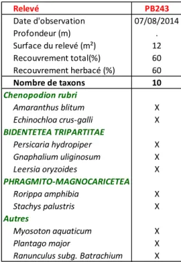 Tableau 6 : Groupement basal à Amaranthus blitum et Echinochloa crus-galli 