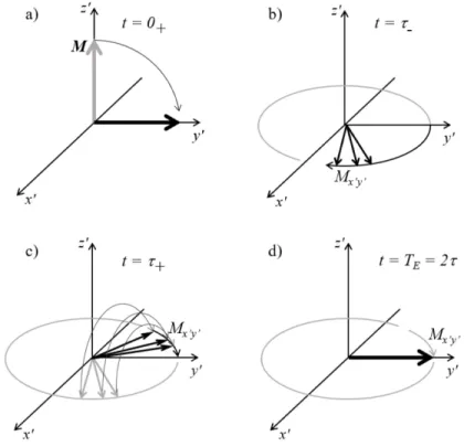 Figure 2.8 Evolution of the transverse magnetization due to a 90-τ-180 RF pulse sequence