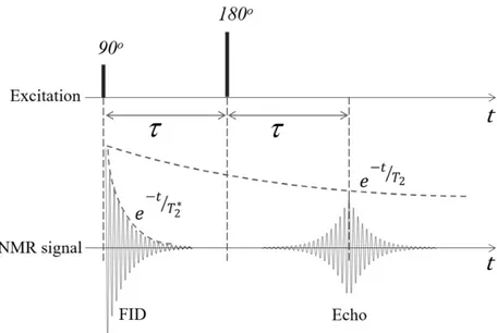 Figure 2.9 NMR signals due to a 90-τ-180 RF pulse sequence. Notice the  