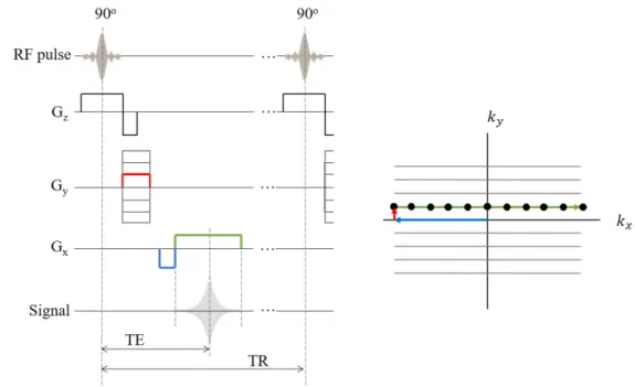 Figure 2.11 Diagram of the Gradient Recalled Echo (GRE) pulse sequence and the trajectory of  the magnetization in k-space