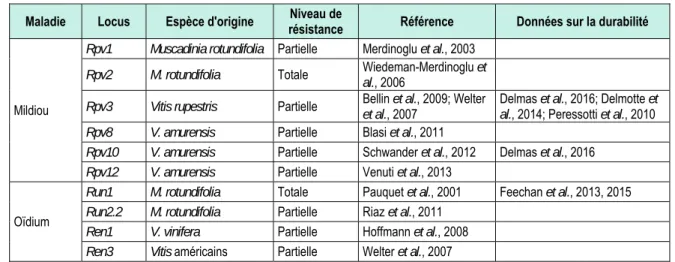 Tableau 2.4-2. Facteurs de résistances au mildiou et à l’oïdium   utilisés dans les programmes de sélection de la vigne en Europe  Maladie  Locus  Espèce d'origine  Niveau de 