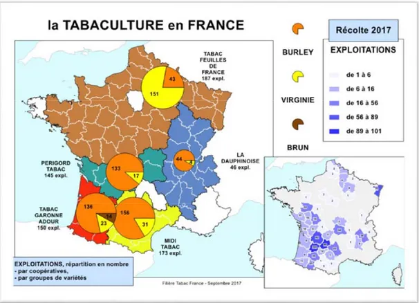 Figure 4. Cartographie de la tabaculture en France en Septembre 2017  Source : France Tabac, agriculture.gouv.fr 