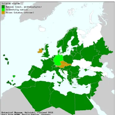 Figure 5. Carte de distribution de Solanum nigrum au niveau européen et méditerranéen en tenant  compte de son statut 