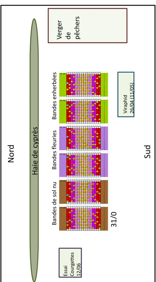 Figure 4  Plan de l'environnement de l'essai Parcel-R 