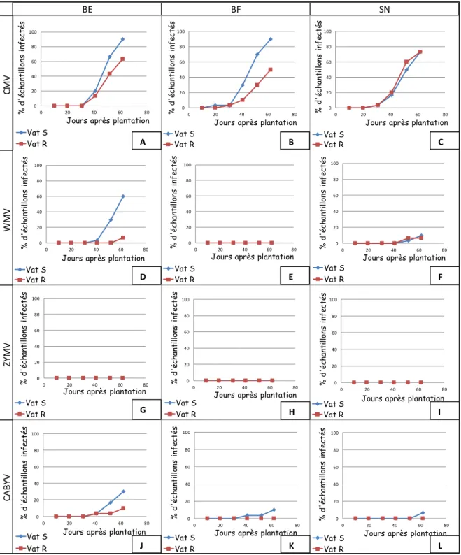 Figure 16  Parcelle de Moissac: Comparaison des épidémies virales chez Vat S et Vat R