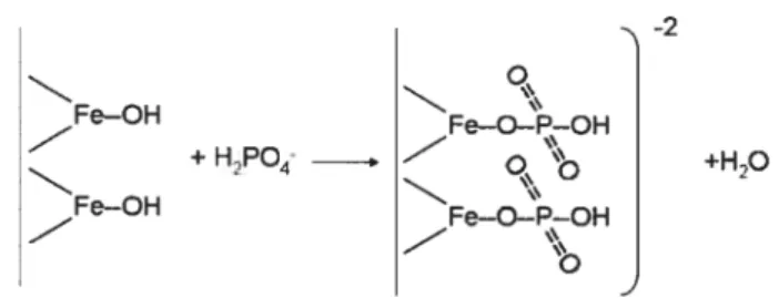 Figure 2 : Adsorption spécifique du phosphate sur les hydroxydes de fer32