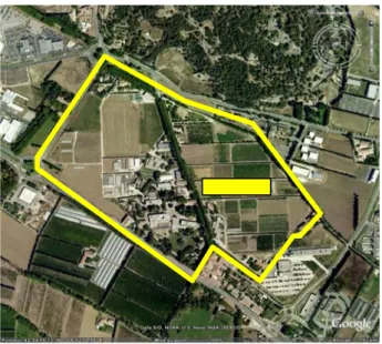 Figure 1 : Image satellite montrant le domaine expérimental INRA de St Paul à Montfavet et  l’emplacement  de  la  parcelle  accueillant  les  essais  VirAphid  et  Parcel‐R  (position  GPS :  43° 