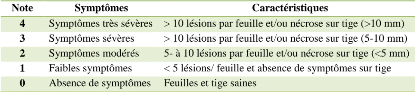 Tableau 3 : Grille de notation des symptômes sur espèces annuelles 