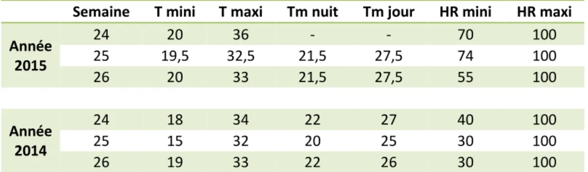 Tableau 4 : Relevé des températures en serre JT Provence où ont été disposés les plants de kiwi 