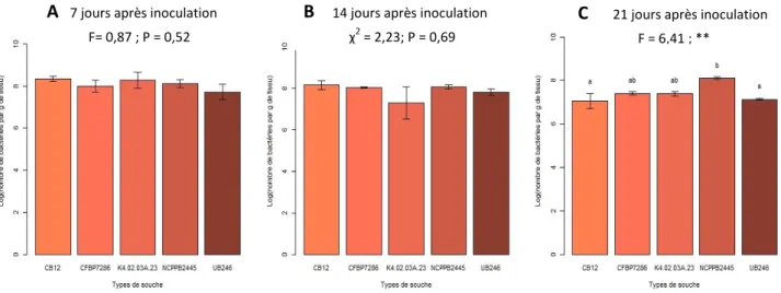 Figure 12 : Suivi de la dynamique des populations au cours du temps 