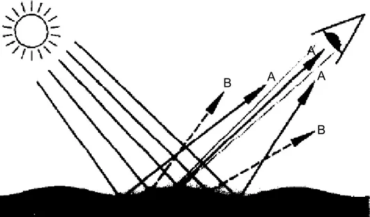 Figure 1.5 : Réflexion de la lumière sur une surface ondulée : les surfaces planes  réfléchissent la lumière dans l’œil (rayons marqués A) et apparaissent comme étant  plus claires