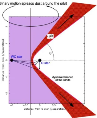 Figure 1.2 – Schéma représentant la région de collision de vents d’un système binaire WC + O