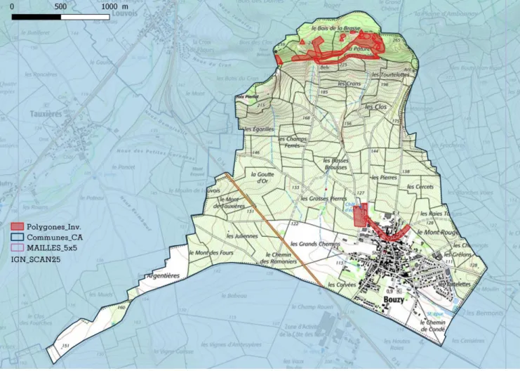 Figure 1 Répartition des relevés au sein du territoire communal 
