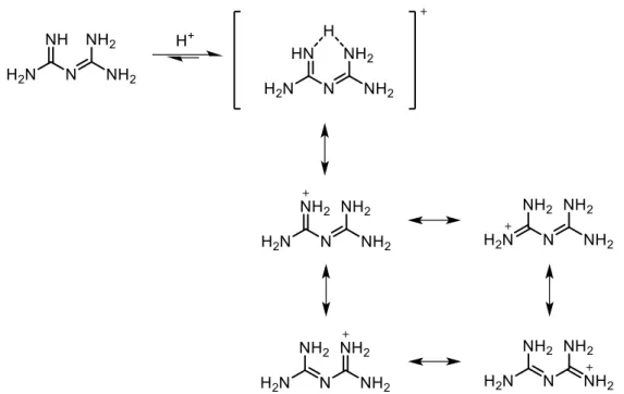 Figure 1.16. Représentations du pont hydrogène bidentate d’un biguanide protoné et de ses  formes conjuguées 