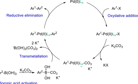 Figure 2.2. Catalytic cycle of the Suzuki-Miyaura cross-coupling reaction 