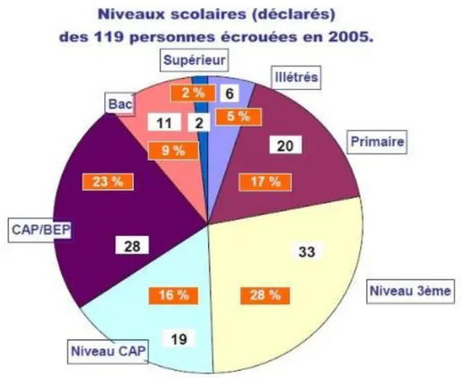 Tableau 11 : Niveaux de formation scolaire