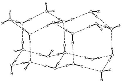 Figure 2 : Structure diamantoïde de la glace. Les ponts hydrogène sont représentés par les  traits hachurés