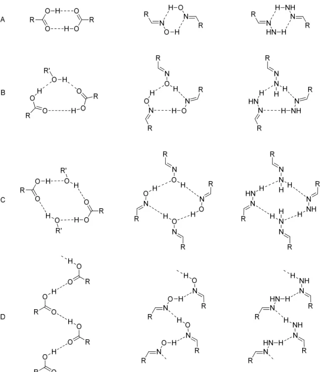 Figure 16 : Les différents synthons supramoléculaires communs à l’acide carboxylique,  l’oxime et l’hydrazone