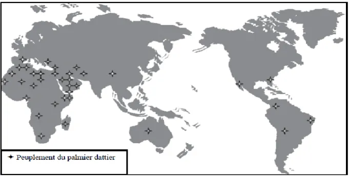 Figure 1 : Répartition géographique du palmier dattier dans le monde  (El Hadrami, A., El Idrissi, T.A &amp; El Hassni, 2007)
