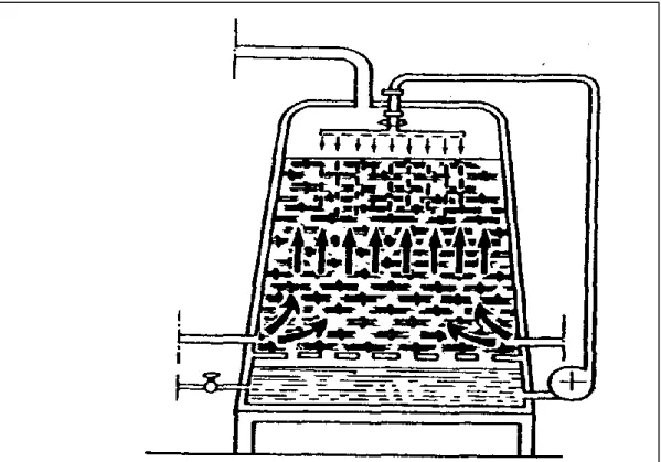 Figure 5 : Schéma de l’acétification à biomasse fixée sur des copeaux de hêtre  (Bourgeois &amp; Larpent, 1996).