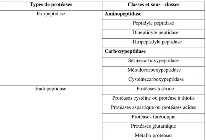Tableau 2: Classification des protéases Selon la nature du site catalytique (Mala et al, 1998)