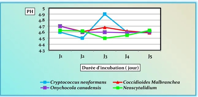 Figure 10: variation  du pH de milieu au cours de culture chez des souches levuriènnes      Au  cours  de  la  fermentation,  On  observe  une  variation  faible  de  pH  (fig