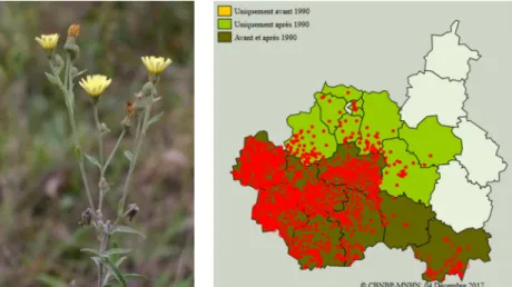 Figure 1 : Expansion géographique spontanée de l’Andryale à feuilles entière (Andryala integrifolia) sur le territoire  d’agrément du CBNBP.
