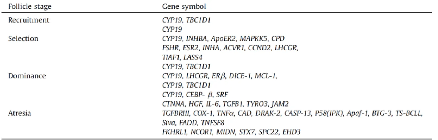 Tableau I.  Expression différentielle des ARNm exprimés en fonction du stade de  développement lors des vagues folliculaires du cycle œstral