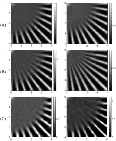 Fig. 6. Speckle patterns (continued): The correlation length of speckle and