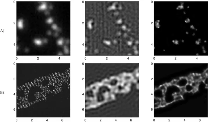 Fig. 7. Processing of real and mock data: [Row A] Fluorescent beads with diameters of 100 nm are illuminated by 100 fully-developed (i.e., one- one-photon) speckle patterns through an illumination/collection objective (NA = 1.49)