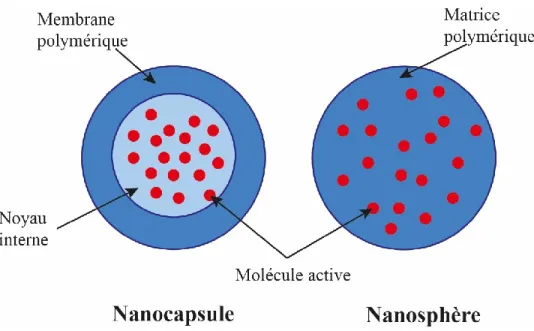 Figure 1.1 Types de nanoparticules (NPs) 
