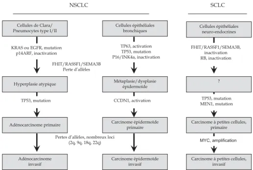 Figure 3.2 : Altérations moléculaires communes dans les carcinomes broncho-pulmonaires