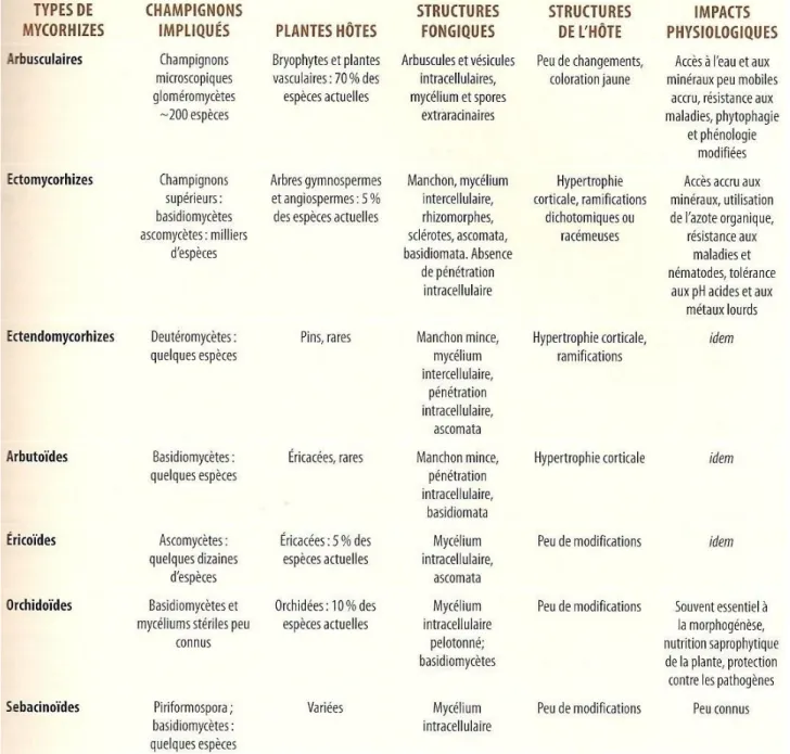 Tableau  1.  Les  différents  types  de  symbioses  mycorhiziennes,  les  champignons  impliqués,  leurs  plantes  hôtes,  les  structures  formées  et  les  impacts  physiologiques  (Fortin, et al., 2008)