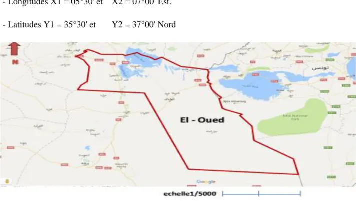 Figure 5 : Situation géographique de la région d'El-Oued (google Earth). 