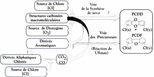 Figure 2.1 : Voies de synthèse des PCDF et des PCDF