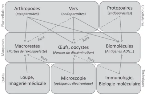 Figure 5 : Mode de mise en évidence des différents marqueurs parasitaires selon les types d’agents pathogènes  (d'après Le Bailly et al., 2017) 